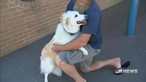 Tim Barrot's Holden Colorado was stolen from a property in Mentone when he was quoting a roofing job for a client. His dog Medusa was still in the back.
