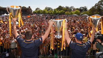 <p>More than 10,000 ecstatic Hawthorn fans have celebrated the club's historic premiership three-peat at Glenferrie Oval today. </p><p><strong>Click through for images from the day as players and supporters revelled in the win.</strong></p>