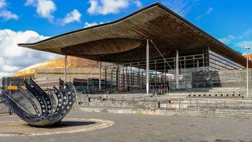 senedd