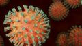 A Netherlands man recorded a COVID-19 infection lasting over 613 days.