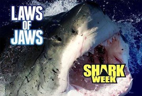 Laws Of Jaws