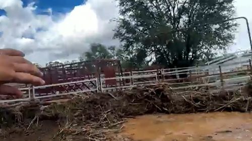 Danos materiais para Jarrod Humphreys, local de Clermont