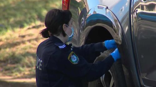 Seven people have been arrested after an alleged stabbing and brawl in western Sydney.At about 4.15am, police were called to the scene of a reported fight in Taminga Road, Green Valley.