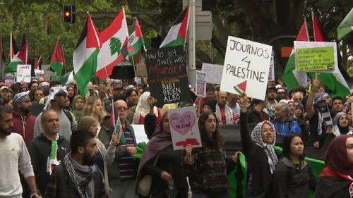 Pro-Palestine protests