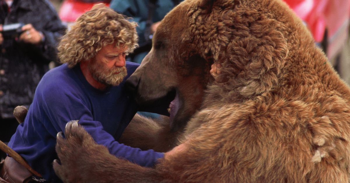 Aktor Hewan Berbayar Tertinggi: Delapan dari Aktor Hewan Berbayar Tertinggi Sepanjang Masa termasuk Bart the Bear, Pal the Collie dan Toto dari The Wizard of Oz