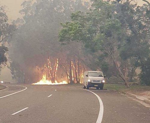 The flames jumped major roads during the bushfire. (Luke Cooper)