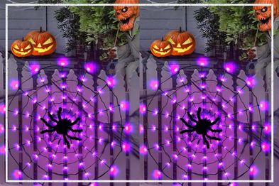9PR: Halloween LED Spider Web Light.