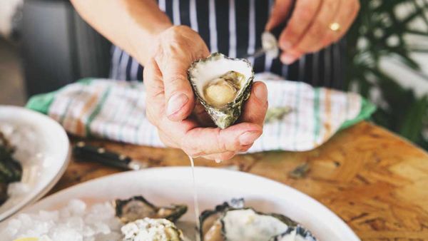 Sean Connolly shucking oysters