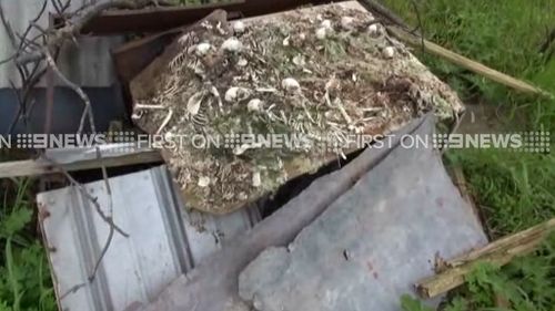 The remains of more than 20 animals were found on the property. (9NEWS)